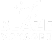 Blaze Voyager